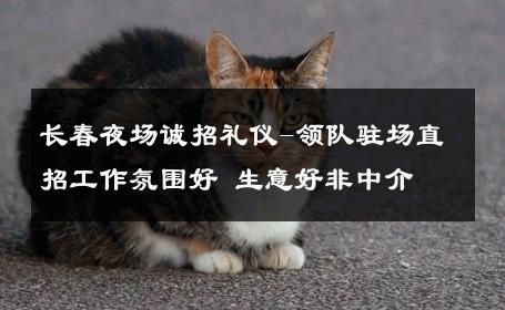 长春夜场诚招礼仪-领队驻场直招工作氛围好 生意好非中介