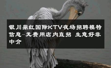 银川鼎红国际KTV夜场招聘模特信息-无费用店内直招 生意好非中介
