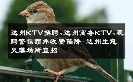 达州KTV招聘,达州商务KTV,现场招聘警惕额外收费陷阱-达州生意火爆场所直招