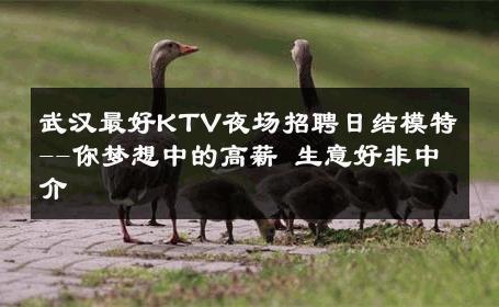 武汉最好KTV夜场招聘日结模特--你梦想中的高薪 生意好非中介