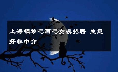 上海钢琴吧酒吧女模招聘 生意好非中介