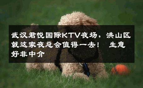 武汉君悦国际KTV夜场，洪山区就这家夜总会值得一去！ 生意好非中介