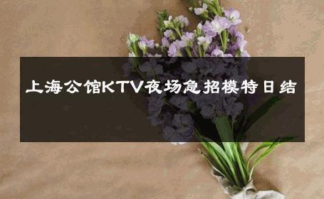 上海公馆KTV夜场急招模特日结 