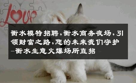 衡水模特招聘,衡水商务夜场,引领财富之路,您的未来我们守护-衡水生意火爆场所直招