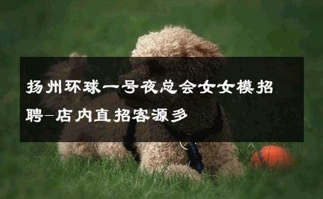 扬州环球一号夜总会女女模招聘-店内直招客源多 