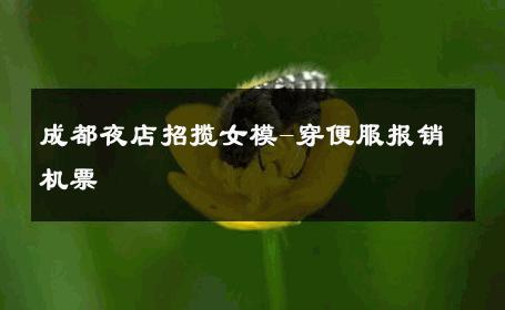 成都夜店招揽女模-穿便服报销机票 
