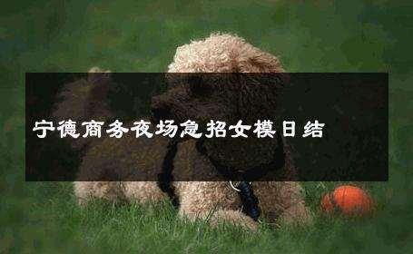 宁德商务夜场急招女模日结 