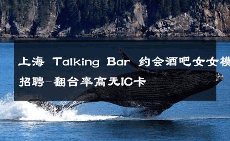上海 Talking Bar 约会酒吧女女模招聘-翻台率高无IC卡 