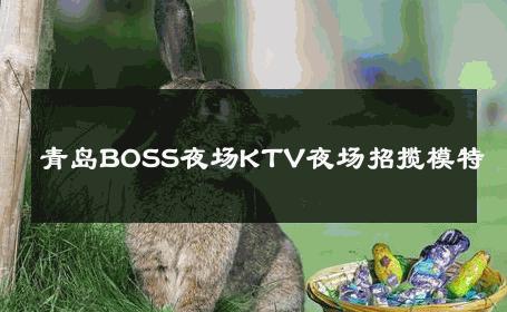 青岛BOSS夜场KTV夜场招揽模特 