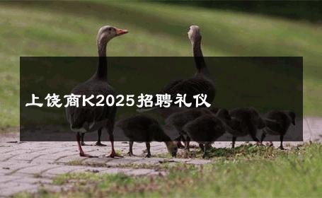 上饶商K2025招聘礼仪 
