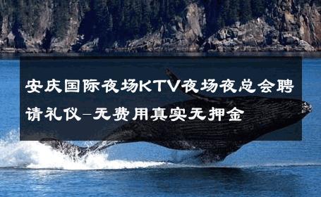 安庆国际夜场KTV夜场夜总会聘请礼仪-无费用真实无押金 