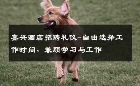 嘉兴酒店招聘礼仪-自由选择工作时间，兼顾学习与工作 