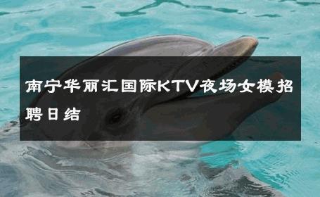 南宁华丽汇国际KTV夜场女模招聘日结 