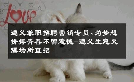 遵义兼职招聘营销专员,为梦想拼搏青春不留遗憾-遵义生意火爆场所直招