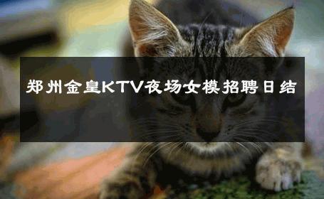 郑州金皇KTV夜场女模招聘日结 