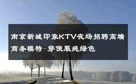 南京新城印象KTV夜场招聘高端商务模特-穿便服纯绿色 