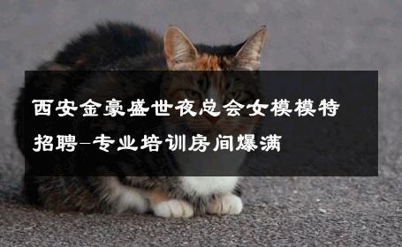 西安金豪盛世夜总会女模模特招聘-专业培训房间爆满 