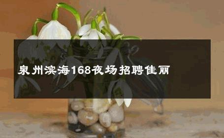 泉州滨海168夜场招聘佳丽 