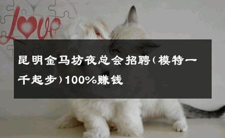 昆明金马坊夜总会招聘(模特一千起步)100%赚钱 