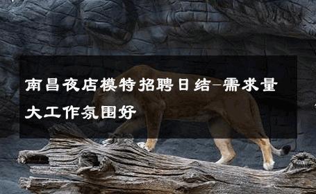 南昌夜店模特招聘日结-需求量大工作氛围好 