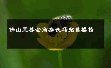 佛山至尊会商务夜场招募模特 