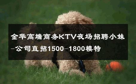 金华高端商务KTV夜场招聘小妹-公司直招1500-1800模特 