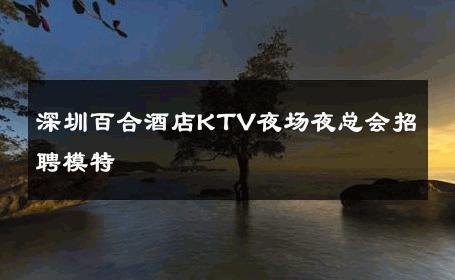 深圳百合酒店KTV夜场夜总会招聘模特 