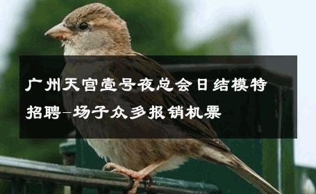 广州天宫壹号夜总会日结模特招聘-场子众多报销机票 