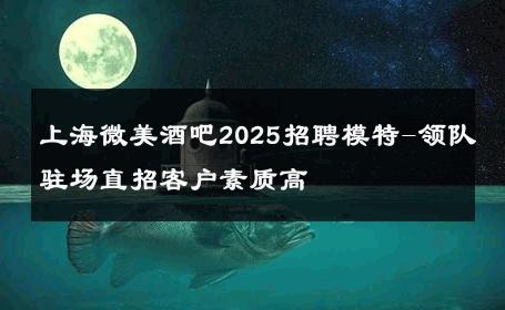 上海微美酒吧2025招聘模特-领队驻场直招客户素质高 