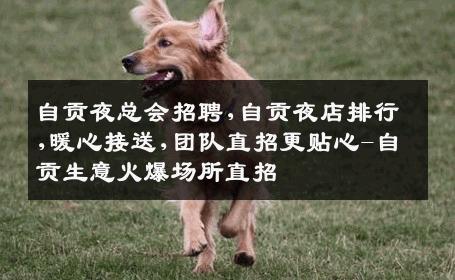 自贡夜总会招聘,自贡夜店排行,暖心接送,团队直招更贴心-自贡生意火爆场所直招