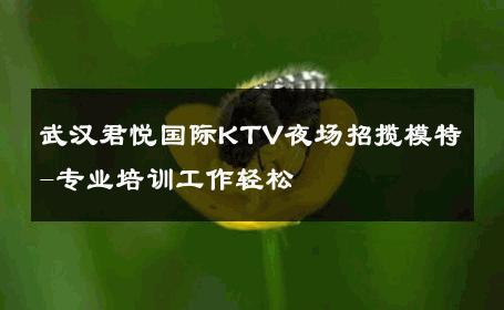 武汉君悦国际KTV夜场招揽模特-专业培训工作轻松 