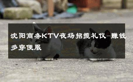 沈阳商务KTV夜场招揽礼仪-赚钱多穿便服 