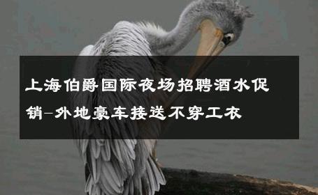 上海伯爵国际夜场招聘酒水促销-外地豪车接送不穿工衣 