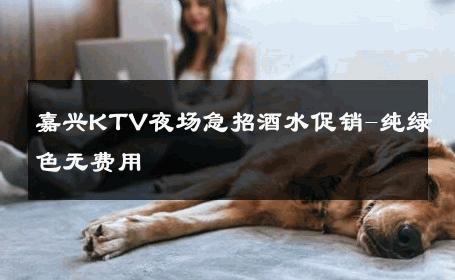 嘉兴KTV夜场急招酒水促销-纯绿色无费用 