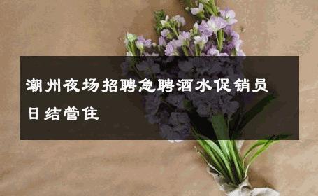 潮州夜场招聘急聘酒水促销员日结管住 