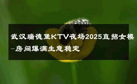 武汉瑞德堡KTV夜场2025直招女模-房间爆满生意稳定 