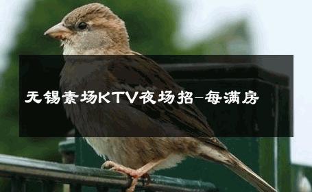 无锡素场KTV夜场招-每满房 