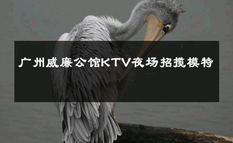广州威廉公馆KTV夜场招揽模特 