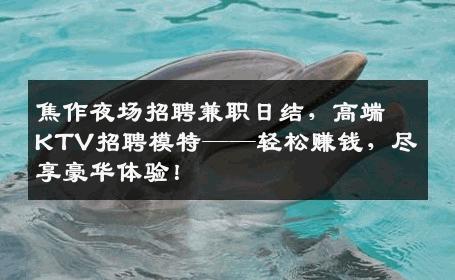 焦作夜场招聘兼职日结，高端KTV招聘模特——轻松赚钱，尽享豪华体验！