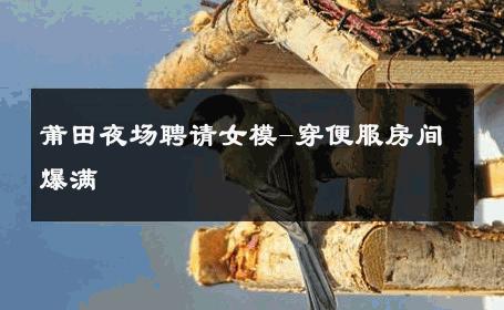 莆田夜场聘请女模-穿便服房间爆满 