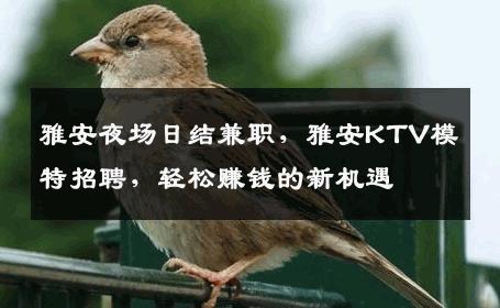 雅安夜场日结兼职，雅安KTV模特招聘，轻松赚钱的新机遇