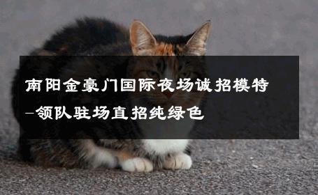 南阳金豪门国际夜场诚招模特-领队驻场直招纯绿色 