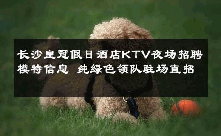 长沙皇冠假日酒店KTV夜场招聘模特信息-纯绿色领队驻场直招 