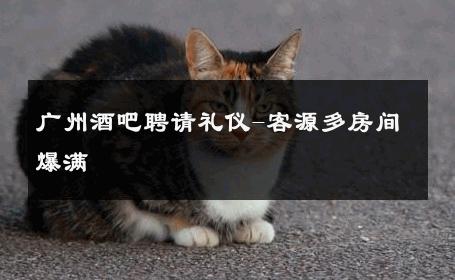 广州酒吧聘请礼仪-客源多房间爆满 