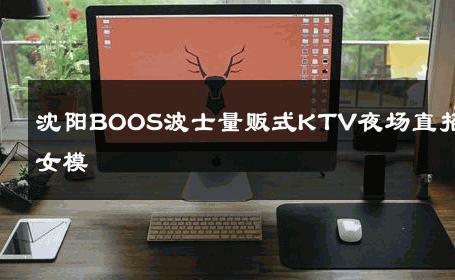 沈阳BOOS波士量贩式KTV夜场直招女模 