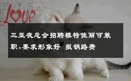 三亚夜总会招聘模特佳丽可兼职,要求形象好 报销路费 