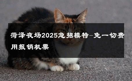 菏泽夜场2025急招模特-免一切费用报销机票 