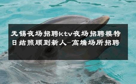 无锡夜场招聘ktv夜场招聘模特日结照顾到新人-高端场所招聘 