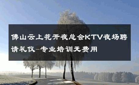 佛山云上花开夜总会KTV夜场聘请礼仪-专业培训无费用 