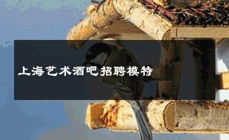 上海艺术酒吧招聘模特 